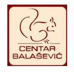 /posao/logo/centar_balasevic 250.jpg